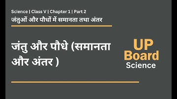 UP Board - Class 5 - Science - Chapter 1 - Similarity and difference between plants and animals