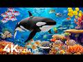 Dive Into The Mesmerizing Underwater Realm Marvel At Sea Animal In The Best 4K UHD Aquarium 93 Dive Into The Mesmerizing Underwater Realm Marvel At Sea Animal In The Best 4K UHD Aquarium 93
