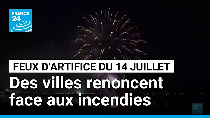 Feux d'artifice du 14 juillet : des villes renoncent face au risque d'incendies • FRANCE 24