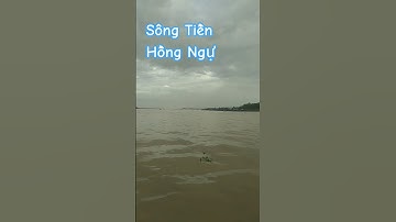 Sông Tiền Hồng Ngự Đồng Tháp #mientaysongnuoc #songnuocmientay #dongthap
