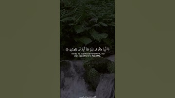 آيات قرانية قصيرة // (( وما خلقت الجن والانس الا ليعبدون ))