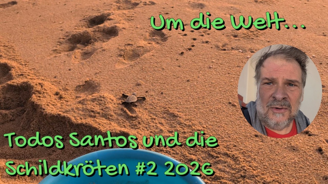 ⁣Todos Santos und die Schildkröten... Um die Welt... #3 2026