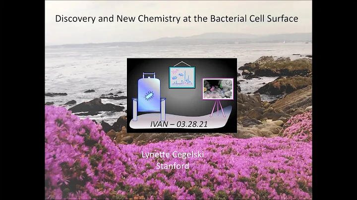 Using Solid-state NMR for New Discoveries in Bacterial Whole Cells and Biofilms