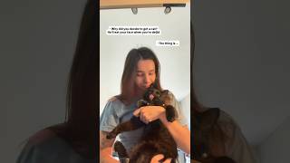 Celebrity NEVER trust a cat 🤭😼 Wealth