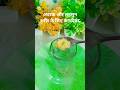 ‍Benefits of ginger and garlic water#ayurveda#food#shorts