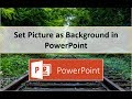 How to Set Picture as Background in PowerPoint