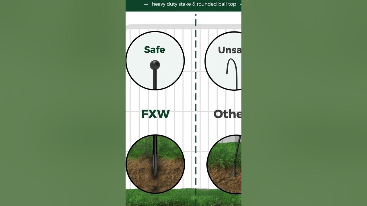 3 Best Dog Apartment Crate You Can’tMiss YouTube