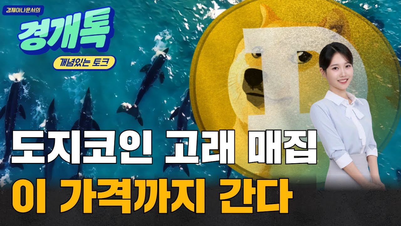 도지코인 고래 매집 목표 지점은 여기까지? | 코인 체크체크