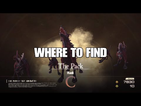 THE PACK -