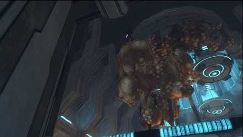 HLG Bloodhounds:. Hiding Tactics:. Cold Storage:. HD!