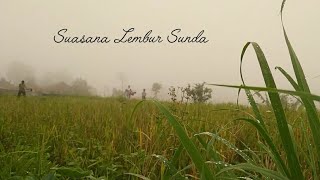 Suasana Lembur/kampung  Sunda || Sinematik android