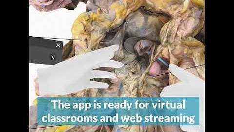 The Human Anatomy Lab in Virtual Reality. For collaborative group teaching in VR and web streaming.