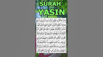 Yaseen Surah Full Yasin سورة يس HD Text surah Yaseen #surayaseen #yasin