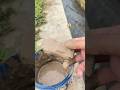 Disgustingly Dirty Toy Gets Washed | ASMR #asmr #satisfying