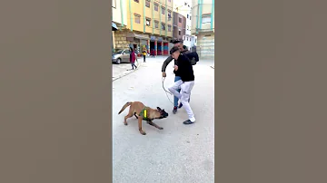 لن تصدق ما فعلة هده المالينوا في هدا الولد 