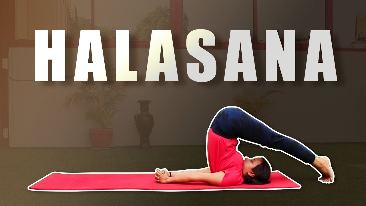 Halasana | Yoga Posture | Plow Pose pranayama schwangerschaft