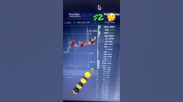 NuCypher🚀🧨🧨🚀