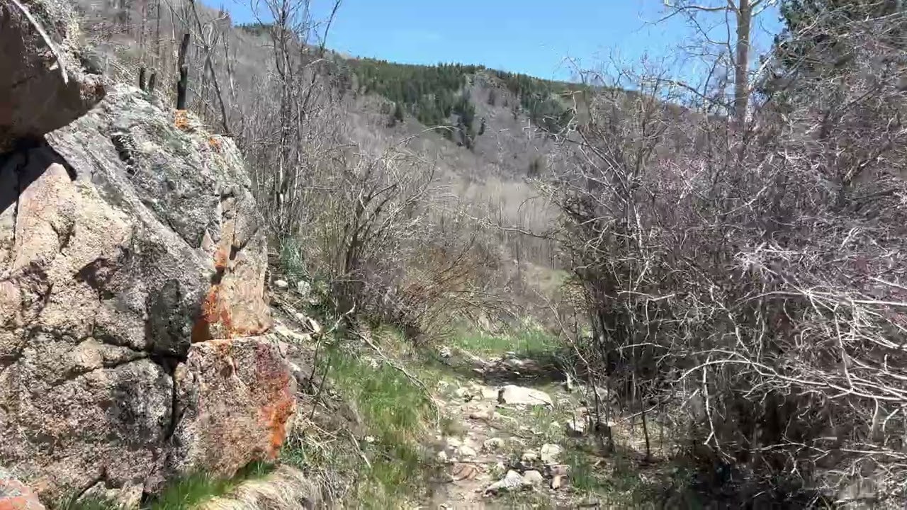 Aspen - Hunter Creek Trail