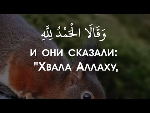 Очень красивое чтение Корана❤Сура: Ан-Намль (Муравьи)❤Чтец: Анас Аль-Шафей