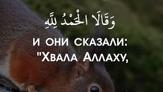 Очень красивое чтение Корана❤Сура: Ан-Намль (Муравьи)❤Чтец: Анас Аль-Шафей