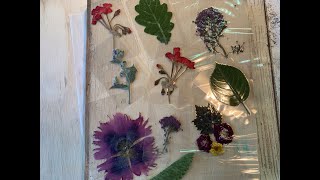 Create with me EP 2 " Laminating Pressed Flowers" for your Junk Journals.
