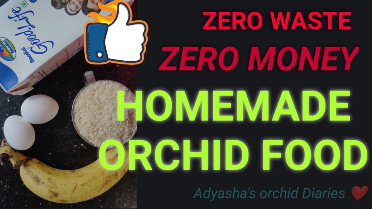 Easy homemade organic fertilizers for orchids YouTube
