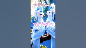 সূরা ইখলাস তেলাওয়াত | سورة الإخلاص #SurahIkhlas #QuranTilawat #IslamicVideo