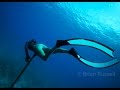 Spearfishing  in Key West, Florida - A Rich Life (Take the Waters)