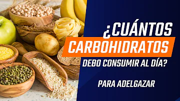 ¿Cuántos carbohidratos debo comer al día para adelgazar?