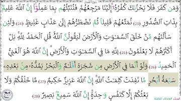 سورةُ لُقْمانَ (23 - 28) عبد الرحمن شاهين