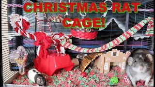 CHRISTMAS THEMED RAT CAGE | Rat Cage Tour! by Maddie Smith 12,248 views 5 years ago 7 minutes, 5 seconds