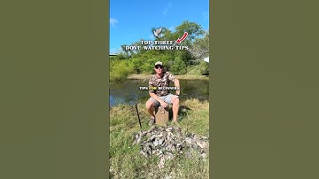 THREE Dove Hunting Tips For Beginners