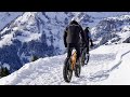 The power of connection in healing our world#shortsferd  #ytshorts #youtubeshorts