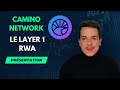 Camino network  la blockchain rwa