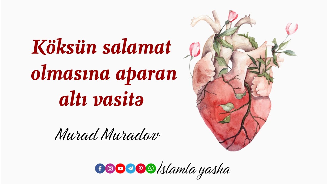 Köksün salamat olmasına aparan altı vasitə. Muradov Murad 