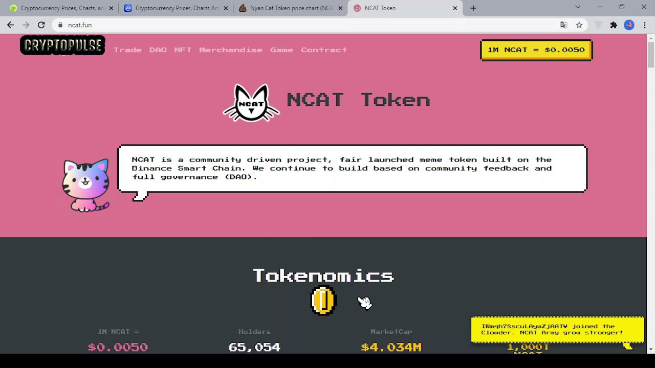 Nyan Cat Token (NCAT) YouTube