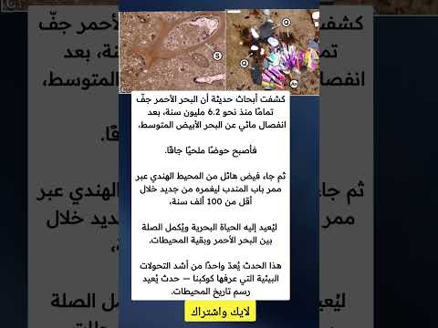 اكتشاف مذهل من الماضي الجيولوجي كشفت أبحاث حديثة أن البحر الأحمر