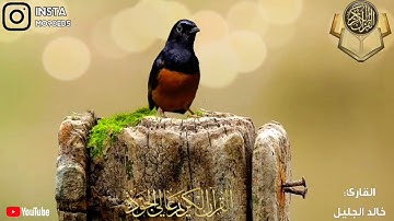 "وقال الذين كفروا لا تسمعوا لهذا القرآن والغوا فيه" | القارئ خالد الجليل |