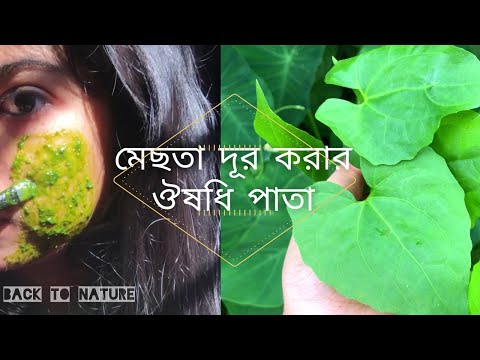 ভিডিও: কীভাবে পাতার দাগ থেকে মুক্তি পাবেন?