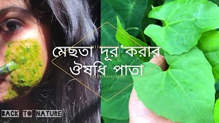 মেছতার দাগ দূর করার উপায় || মেছতার চিকিৎসায় ঔষধি পাতার ব্যবহার  || Melasma Treatment in Bangla screenshot 5