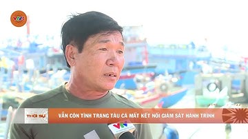 VẪN CÒN TÌNH TRẠNG TÀU CÁ MẤT KẾT NỐI GIÁM SÁT HÀNH TRÌNH  | VTV5