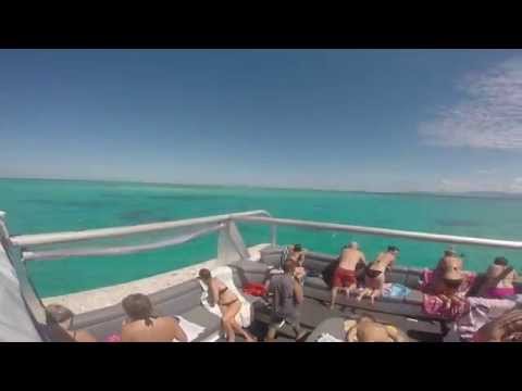 I QUIT MY JOB to travel the world: AUSTRALIA