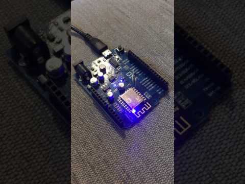 First steps with