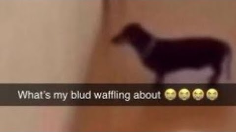 Smile, Awp & Máster Spark vs Uncertified | Item Asylum