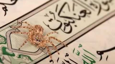 تلاوه خاشعه جدااا لسورة العنكبوت بصوت احمد العجمي-ٍSurah Al-Ankabot-nice voice- Ahmed Alajmay
