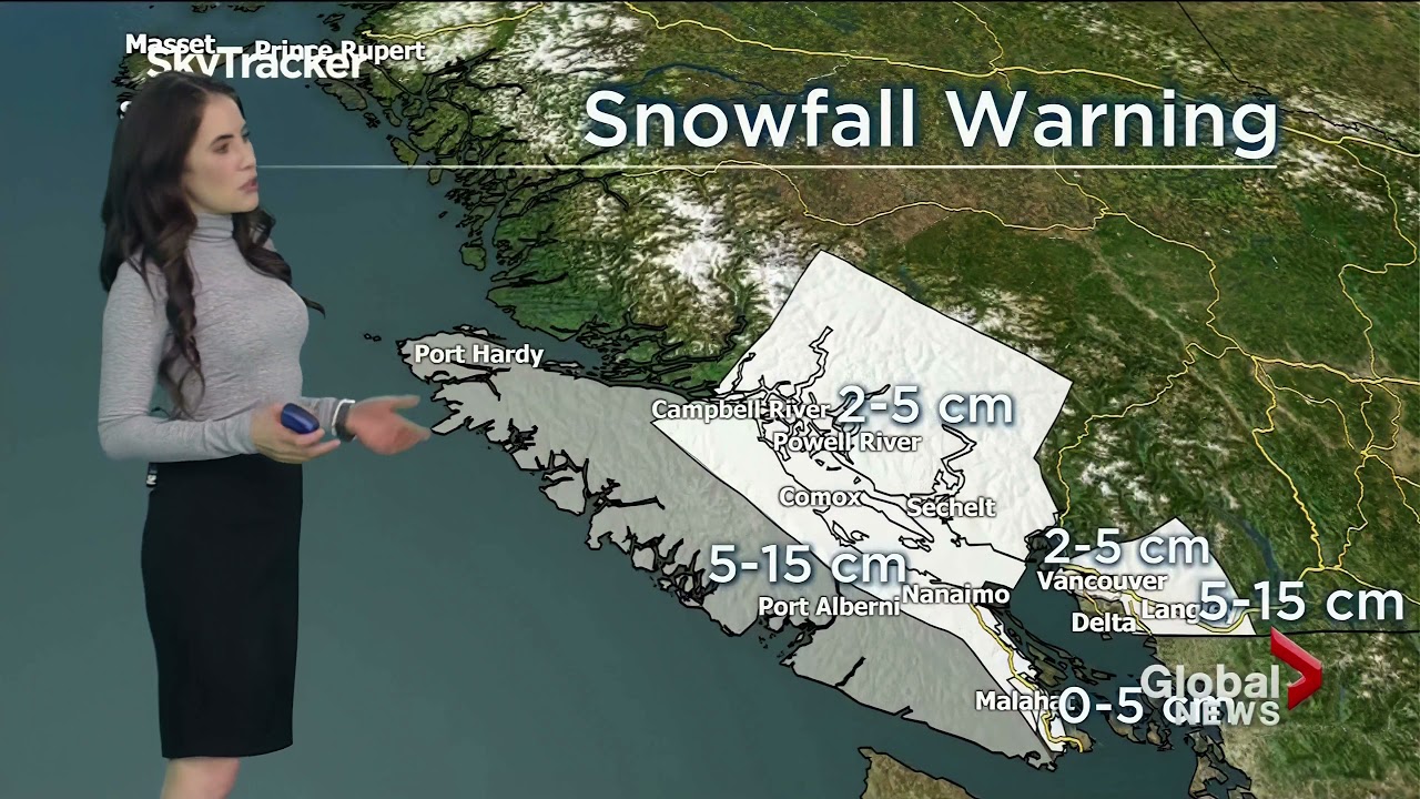 Jan 24 2021 SkyTracker Weather Yvonne Schalle YouTube 