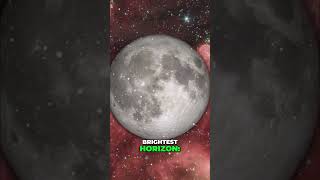 Moon's Influence: Guiding Animals & Human History #shorts