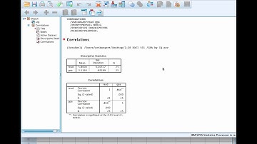 Pearson Correlation Using SPSS