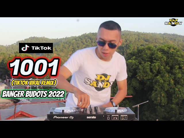 1001 ABRABIAN NIGHTS (TikTok Viral Banger Budots) | Dj Sandy Remix class=