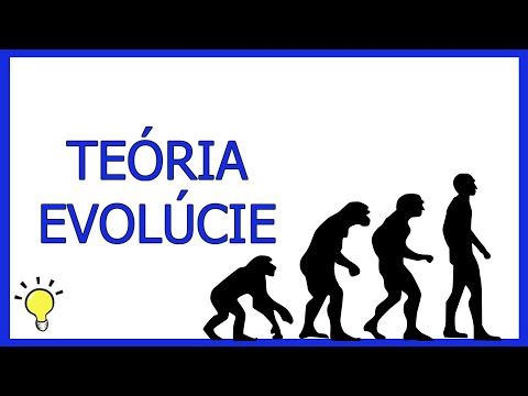 Video: Ako funguje darwinovská evolúcia?